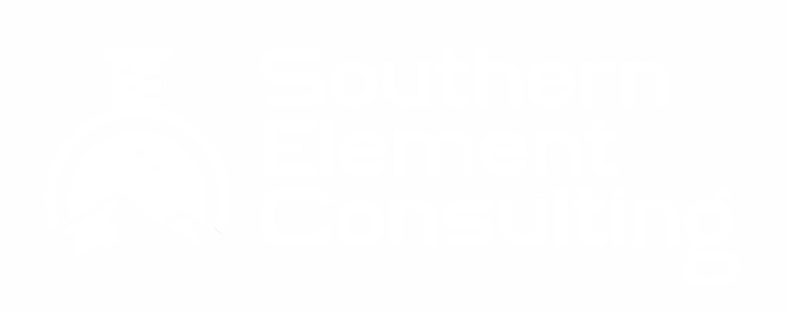 Southern Element Consulting