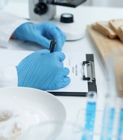 SQF gap assessment audit